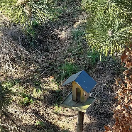 Relaxing With Pool * Filot