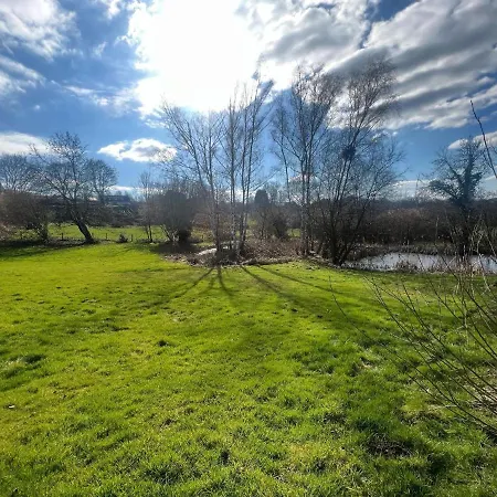 Relaxing With Pool Willa